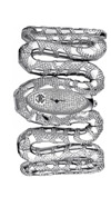 ���� Roberto Cavalli 7253195615